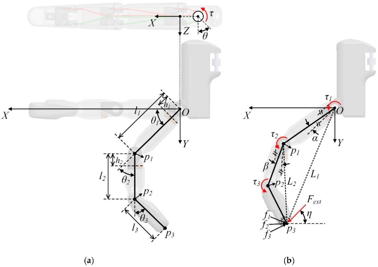 Kinematic diagrams of the finger in natural and grasping motion