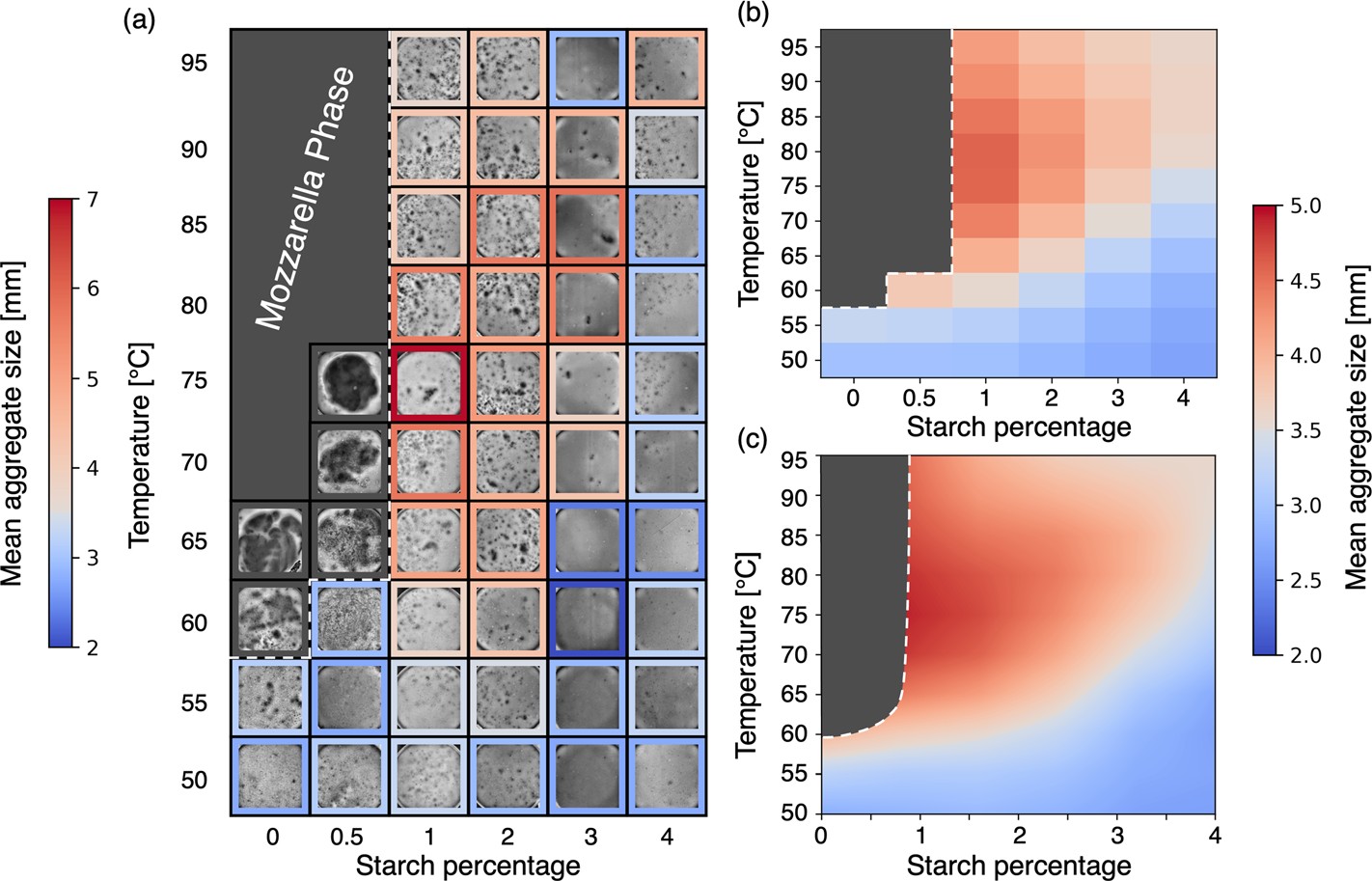 Paper Figure 2: phase diagram of mean cheese aggregate size against starch percentage and temperature