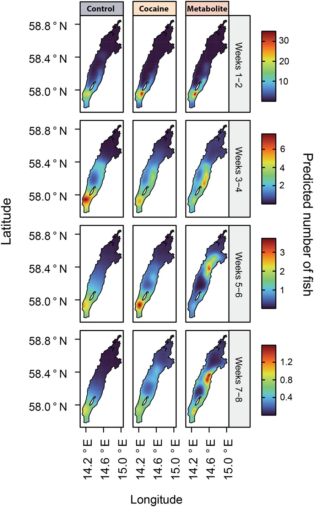 Paper Figure 3: heat maps of where fish from each group were in Lake Vättern, fortnight by fortnight