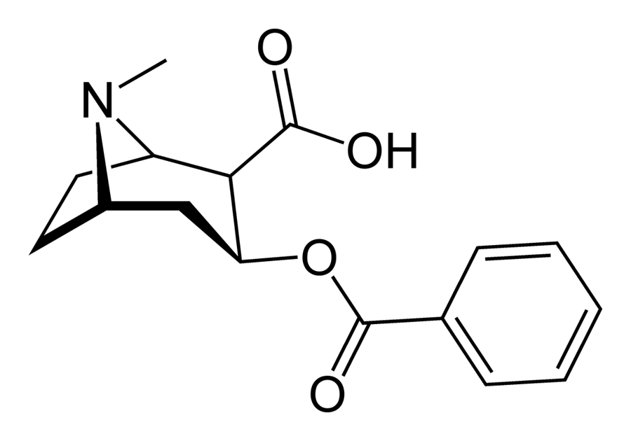 Chemical structure of benzoylecgonine