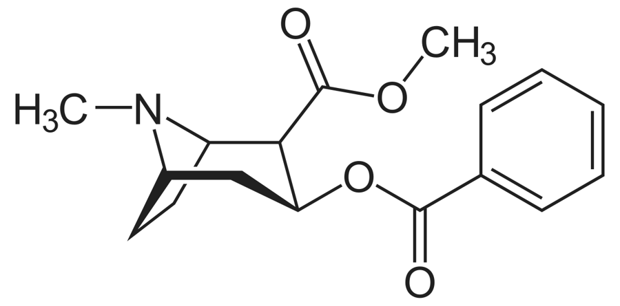 Chemical structure of cocaine