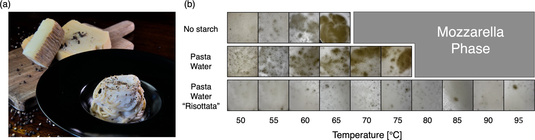 Paper Figure 1: a plate of Cacio e pepe, and a photo grid of cheese mixed with plain water, pasta water and reduced pasta water at 50 to 95 degrees Celsius
